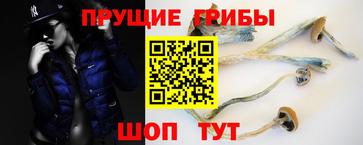 Галлюциногенные грибы мухоморы Хасавюрт