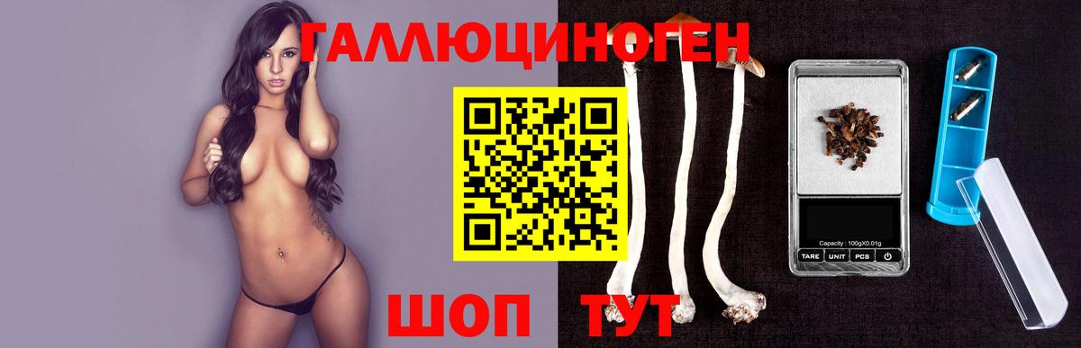 Галлюциногенные грибы мухоморы  Псилоцибиновые грибы MAGIC MUSHROOMS  Хасавюрт  Вход с VPN 